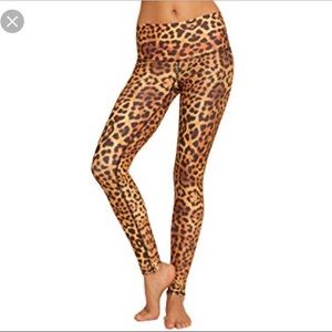 BNWT Teeki gold awakening hot pant SOLD OUT